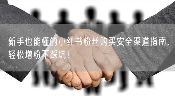 新手也能懂的小红书粉丝购买安全渠道指南，轻松增粉不踩坑！
