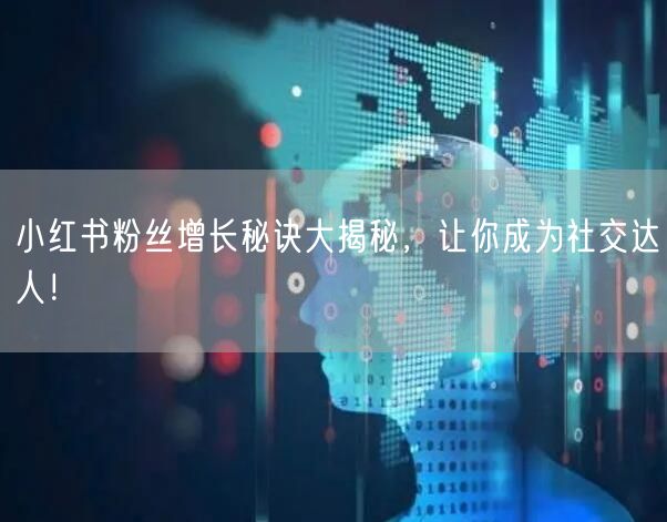 小红书粉丝增长秘诀大揭秘，让你成为社交达人！
