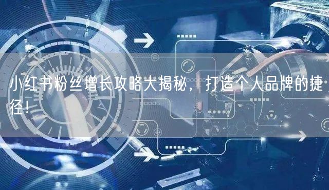 小红书粉丝增长攻略大揭秘，打造个人品牌的捷径！