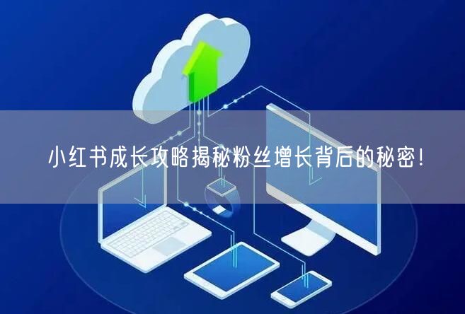 小红书成长攻略揭秘粉丝增长背后的秘密！
