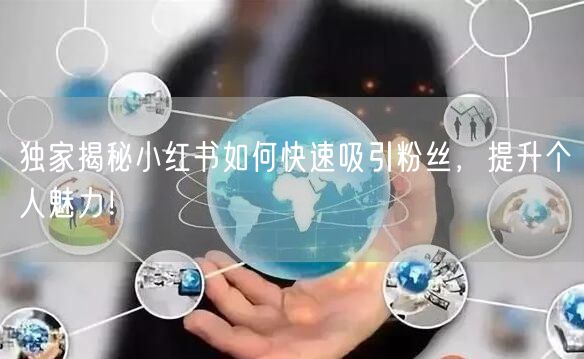 独家揭秘小红书如何快速吸引粉丝，提升个人魅力！