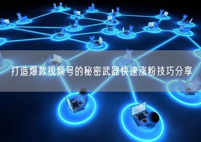 打造爆款视频号的秘密武器快速涨粉技巧分享
