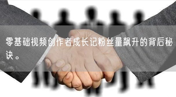 零基础视频创作者成长记粉丝量飙升的背后秘诀。