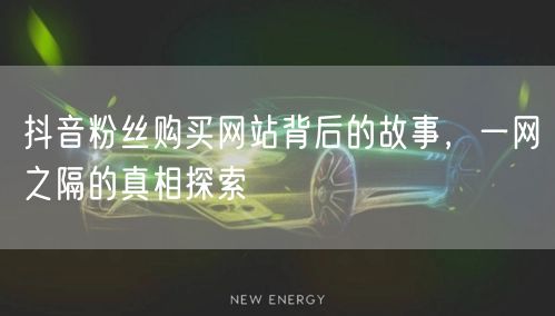 抖音粉丝购买网站背后的故事，一网之隔的真相探索