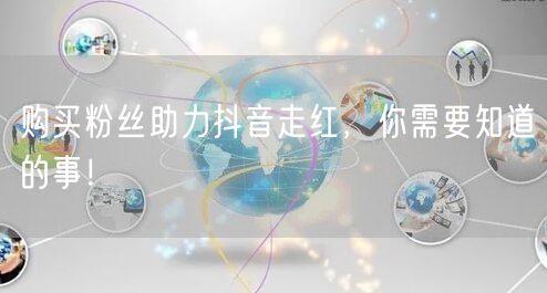 购买粉丝助力抖音走红，你需要知道的事！