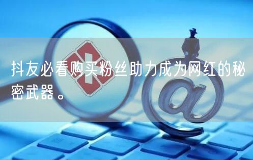 抖友必看购买粉丝助力成为网红的秘密武器。