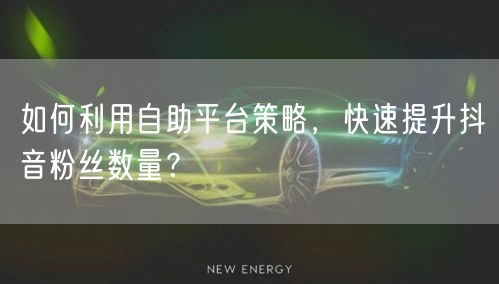 如何利用自助平台策略，快速提升抖音粉丝数量？
