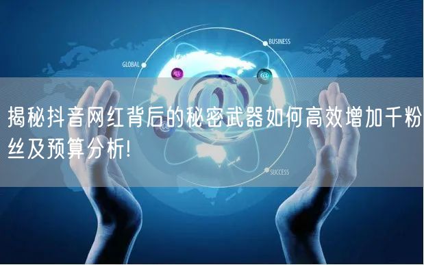揭秘抖音网红背后的秘密武器如何高效增加千粉丝及预算分析!