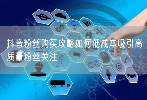 抖音粉丝购买攻略如何低成本吸引高质量粉丝关注